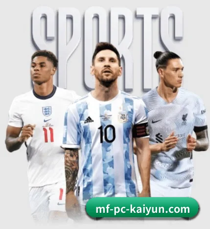 五大服务分区,信息按项目分类（kaiyun）